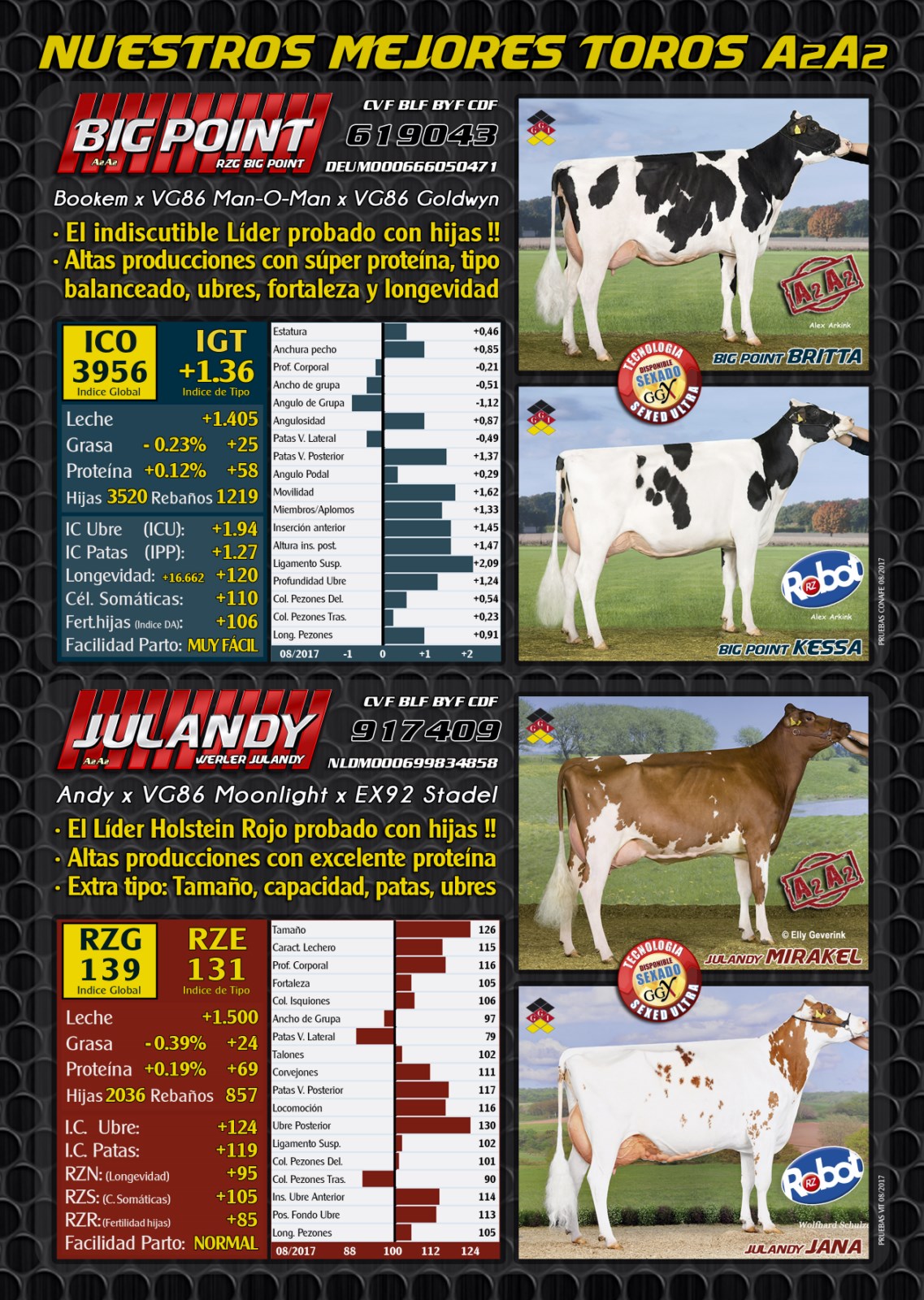 BAS&middot;GGI - NUESTROS TOROS A2A2